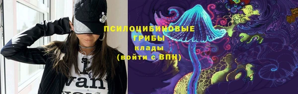 винт Нягань