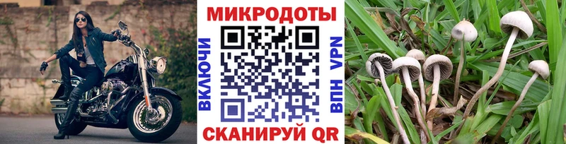 купить наркотики цена  Сальск  Псилоцибиновые грибы мухоморы 